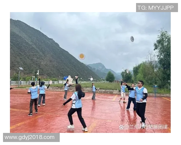 飞盘运动的魅力与挑战：走进重庆飞盘队的灵活性与团队精神